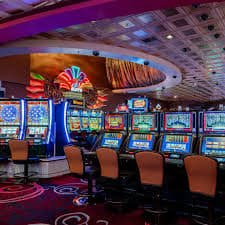 4555d bet